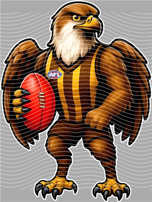 NBA and Team-QD 1373